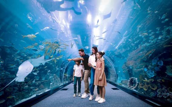 Dubai: Aquarium and Underwater Zoo Ticket and Penguin Cove